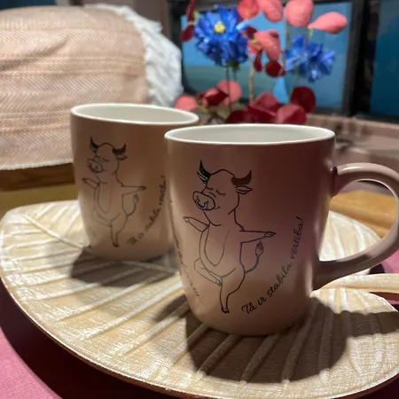 Urban Glamping ホテル リガ