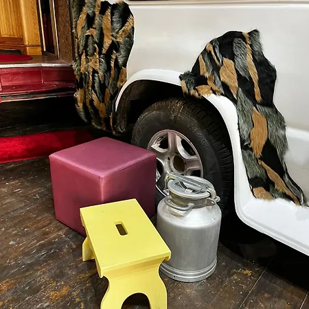 Urban Glamping * 里加